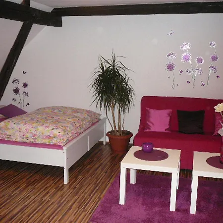 Hartmanice Hotel apartamentowy Hartmanice (Pilsen)